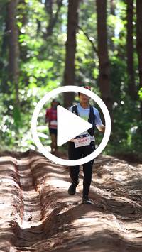 BIB:  <button type="button" onclick="openModal(26569430)" class="btn btn-primary btn-sm float-right" data-toggle="modal" data-target=".modal-high-quality">
                <i class="fa fa-download"></i> Download
                </button>